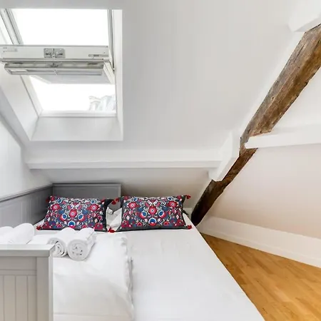 Splendid Marais 2bdr Parigi